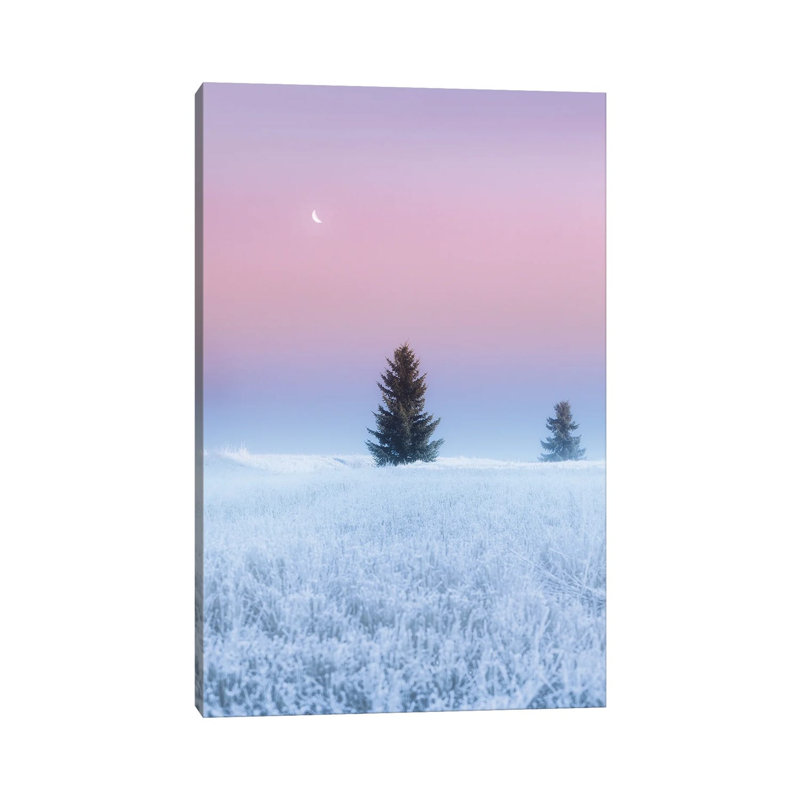 First Frost Of Winter by Lauri Lohi - Wrapped Canvas Print, 20.32 cm H x 30.48 cm W