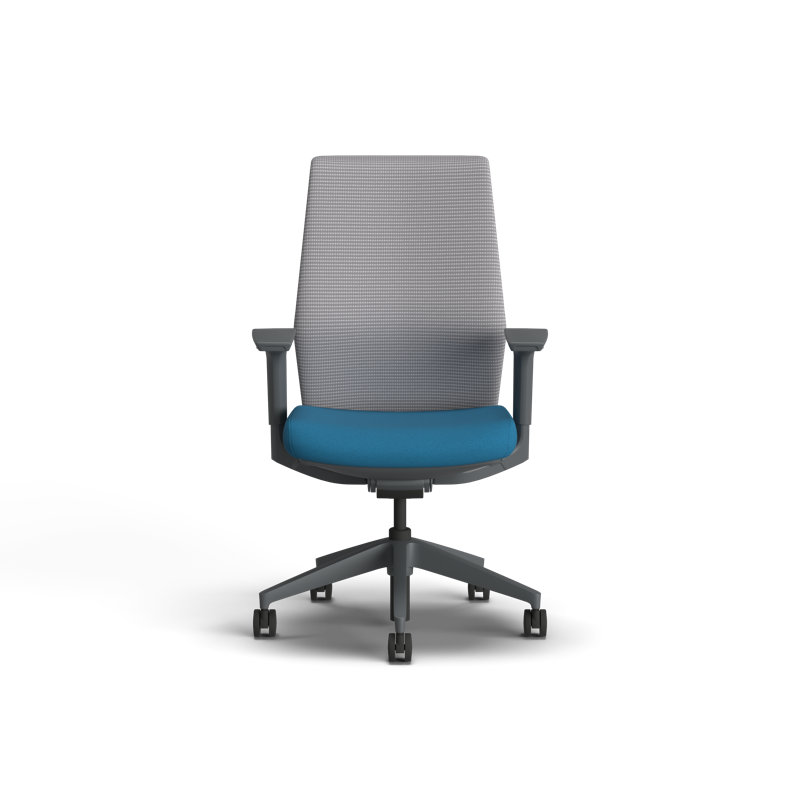 HON Cipher Mesh Ergonomic Office Chair, Charcoal Frame, Peacock, Peacock, Charcoal