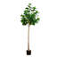7 pi Ficus Audrey artificiel-1619356196