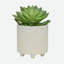 Jardinières texturées S / 2 6/8 po, blanc brillant-1324665912