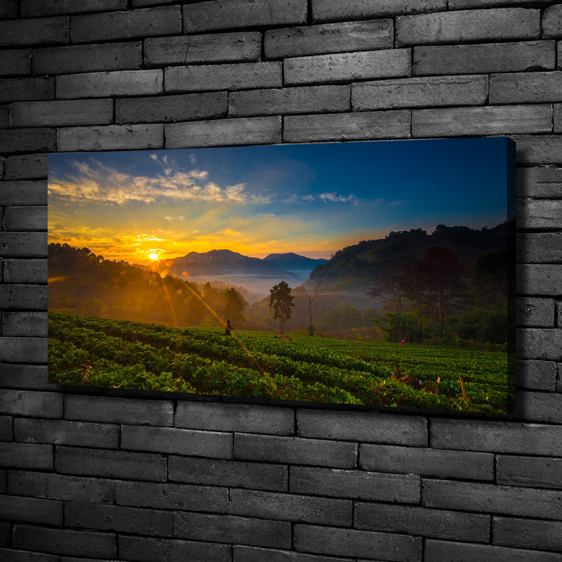 Tea Plantation - No Frame Print on Canvas, 50cm H x 100cm W, No Frame