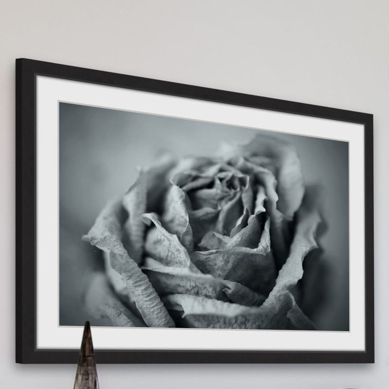 Judy Stalus - Single Picture Frame Print, 61cm H x 91cm W x 3.81cm D