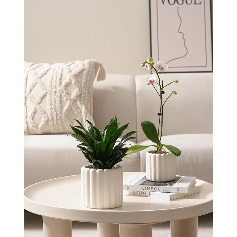 Ceramic Plant Pots Cream White 6"+4.7" Set