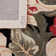 Hogle Hand Hooked Wool Floral Rug