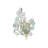 Baobab Wall Sconce
