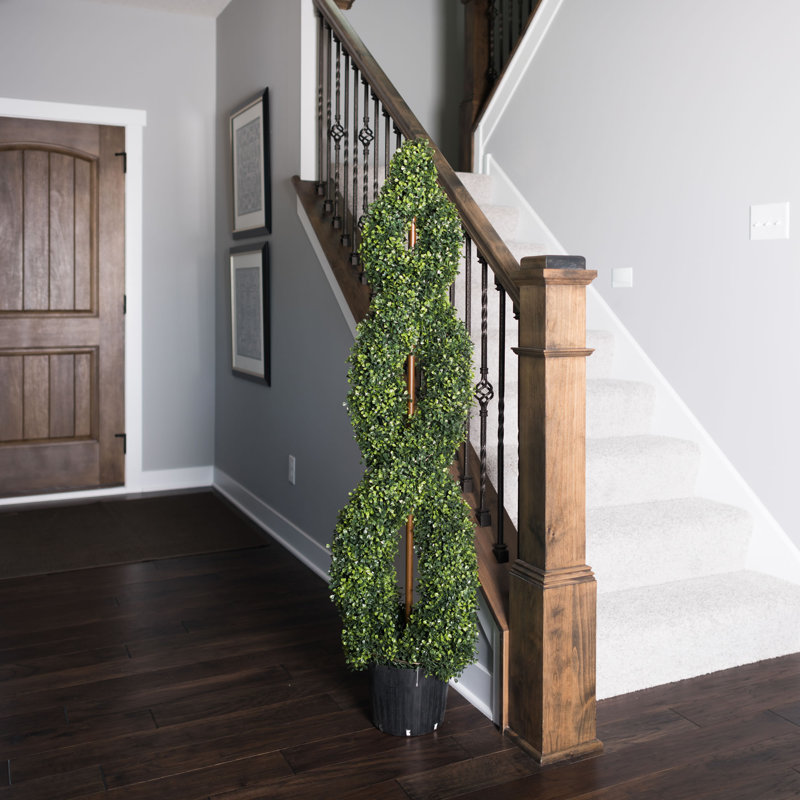 Topiaire en buis vert 5 pi Vickerman, H 60 po x l 12 po x P 16 po