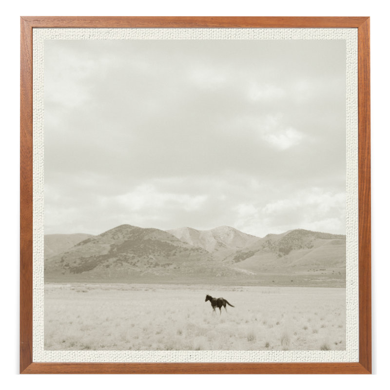 Landscape With Horse Print by Dunker, Chris, Walnut Framed, 40" H x 40" W x 1.75" D