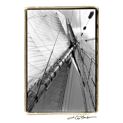 Mettez les voiles II