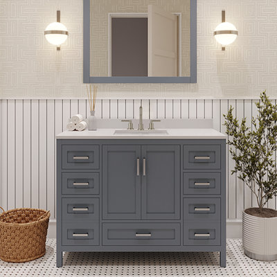 Rooh 42 In. Bath Vanity Cabinet With Top In Charcoal Grey Assembled