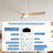 Nicola 52" 3-Blade Standard Ceiling Fan With Remote and Led Light-1631905459