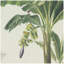 Arbre S / 2, 15,5 po x 23,5 po