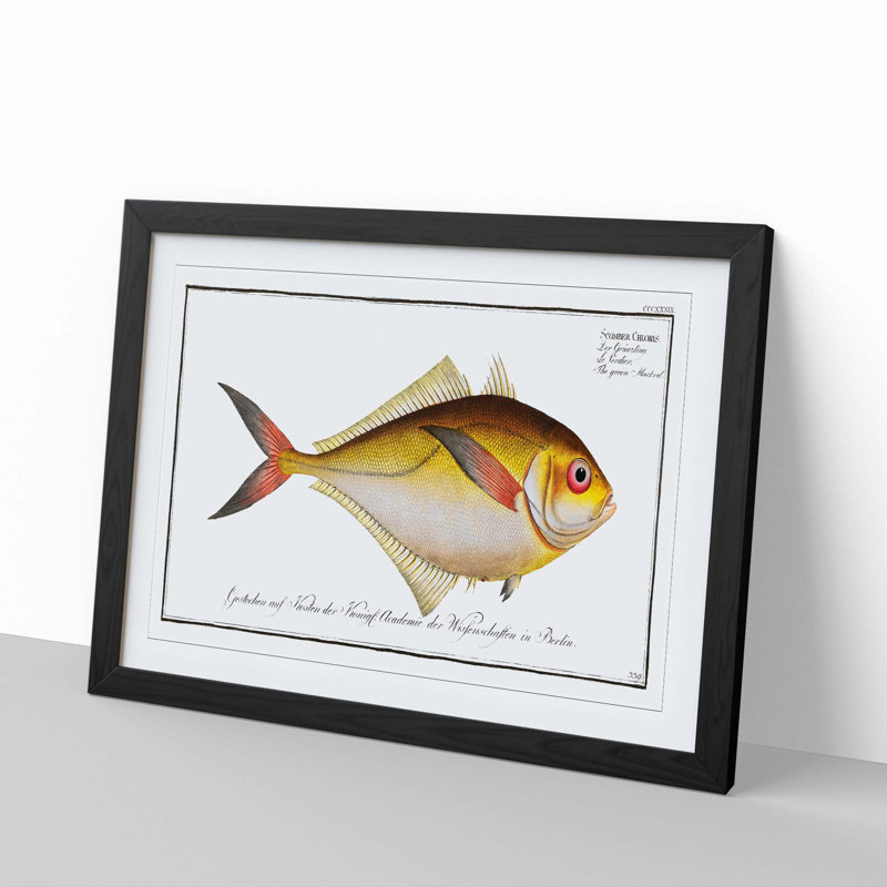 Green Mackerel Fish by M.E. Bloch - Picture Frame Painting Print, 36cm H x 48cm W x 2cm D, Black Framed