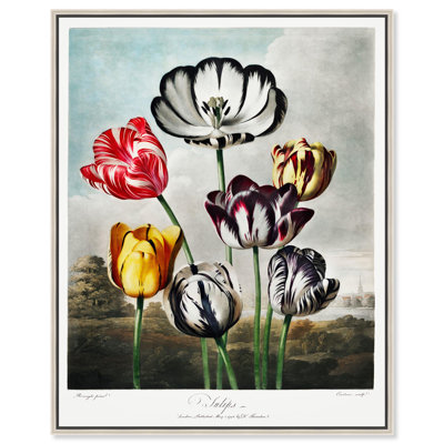 Tulipes, toile 1807 par Art Remedy