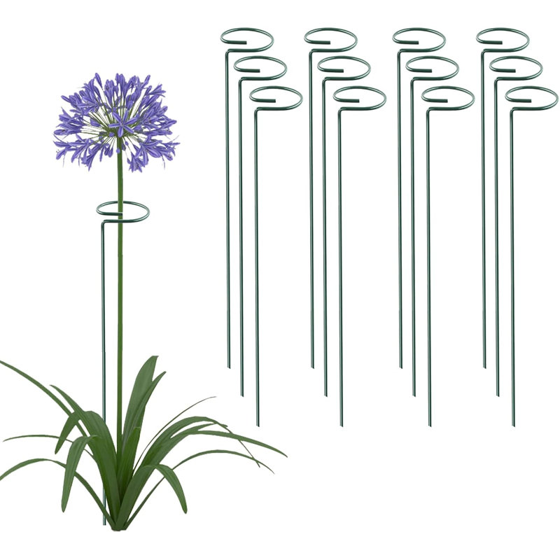 Piquets de support pour plante à tige simple en métal 16 po (ensemble de 12) - Support de jardin décoratif pour fleurs et légumes