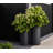 19.5"H Kute Nest Indoor/Outdoor Tubo Fiberstone Cylinder Planter - Tricorn Black - Opening 8.2"-114407566