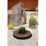 Pure Series Lane Bowl Planter