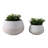 Chic Round Planters for House Plants, Flower Pots, or Garden Displays – Stylish Indoor Planter and Outdoor Planter with Textured Ceramic Design – Modern Plant Pot and Decorative Planter for Patio or Room – Set of 2, 12", White & Tan