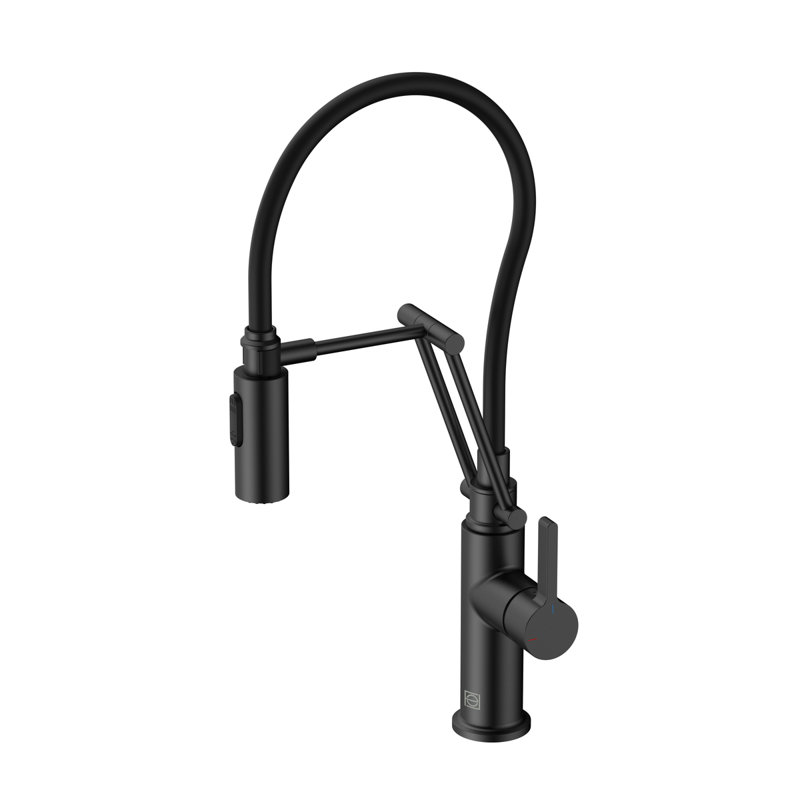 Robinet de cuisine à bec rétractable Elegant Lighting Leonardo, Noir mat