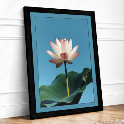 Lotus in Bloom Botanical - Framed Print