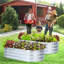 Lit de jardin surélevé galvanisé argent-108830254