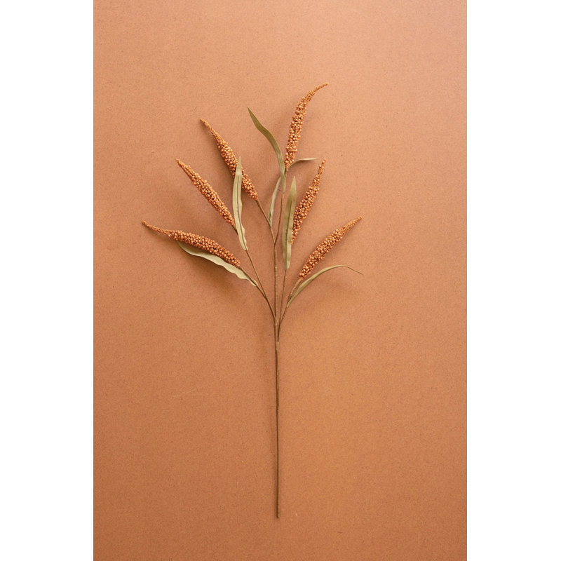 BOTANICA #9071