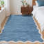 Area Rug