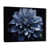 Cadre flottant noir