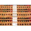 Tapis brun clair Dequita 2 pi 10 po x 4 pi 10 po