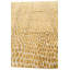 Nathaniel Yellow Rug