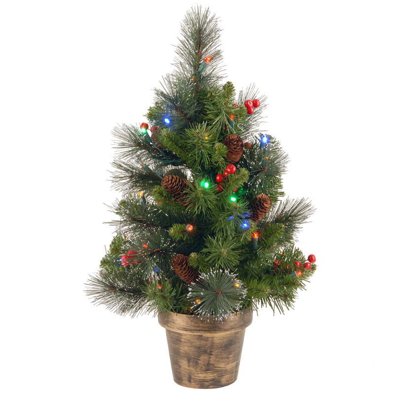 L'épinette Crestwood de 2 pi avec lumières à DEL multicolores fonctionnant à piles The Holiday Aisle®