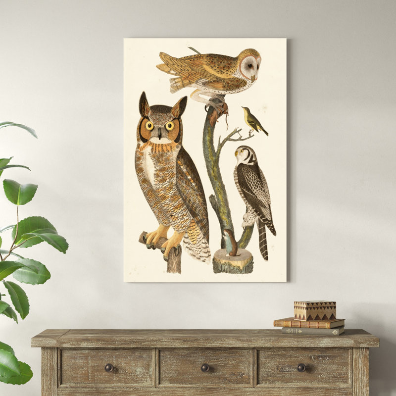 Wilson Owls I, H 36 po x l 24 po x P 1 po