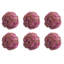 Boules de Sedum décoratives-306876333