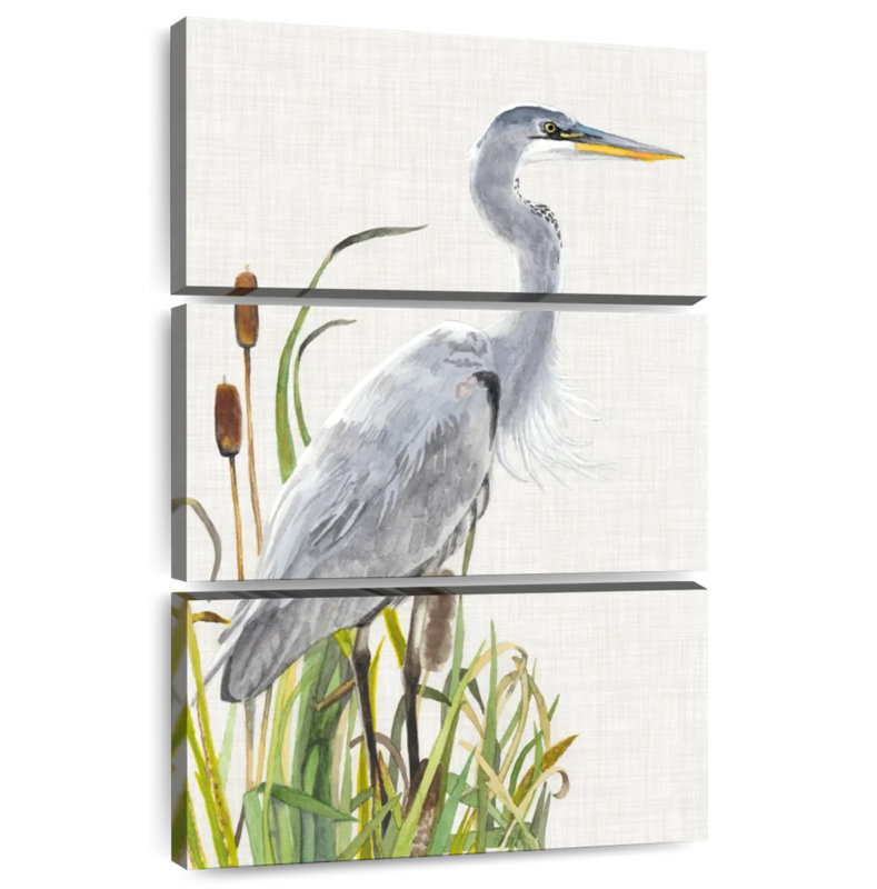 Brampt, oiseaux d'eau et quenouilles I