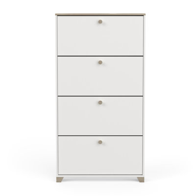 Barbaa 12 Pair Shoe Storage Cabinet