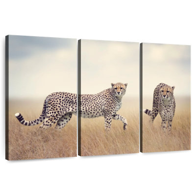 Wild Cat Pair