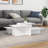 vidaXL Coffee Table Accent End Side Sofa Table for Living Room Engineered Wood
