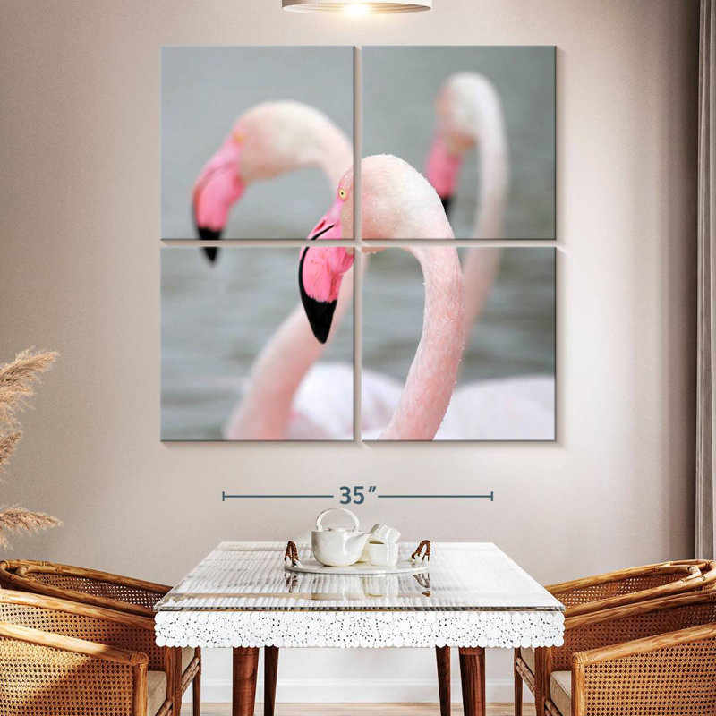 Flamants roses Brampt