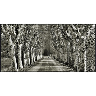 " Come Le Foglie " by Fulvio Ferrua