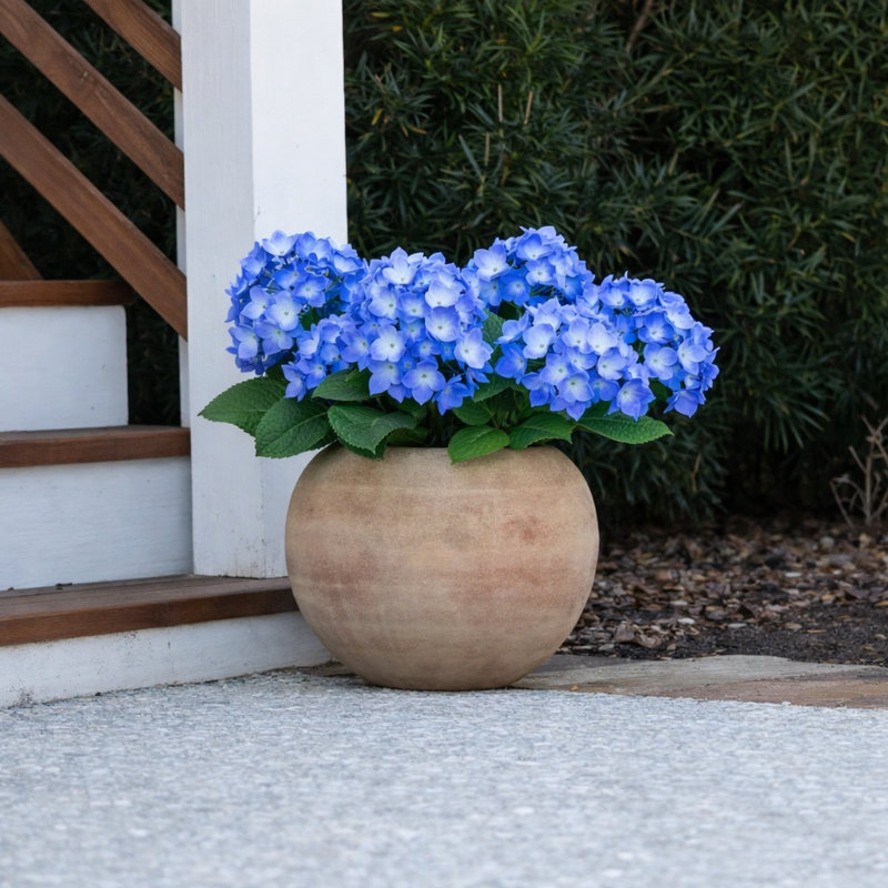 Hydrangea Pot Filler with weight, Blue