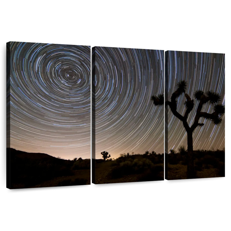 Harnek Star Trails à Joshua Tree, H 48 po x l 74 po