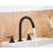 2-handle Bathroom Faucet with Drain Assembly