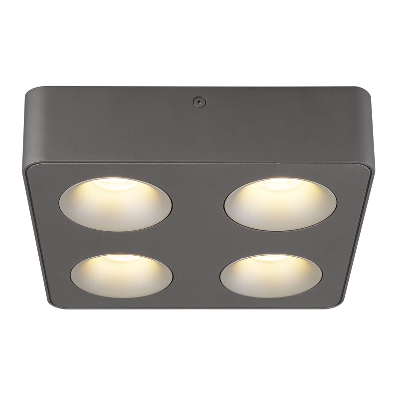 Alfard Plastic LED Spotlight