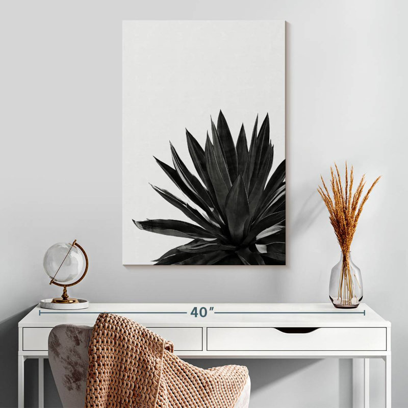Harnek Agave Cactus BW, 30" H x 20" W