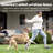 Stay & Play® Compact Wireless Dog Fence