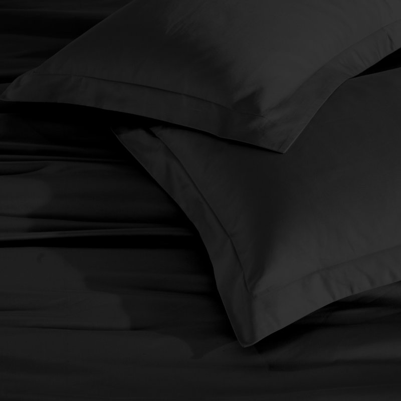 Modern & Contemporary Egyptian Cotton Certified Egyptian Cotton Duvet Cover, Black, Full/Queen Duvet Cover + 2 Pillow Sham