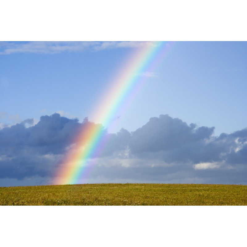 Rainbow - Wrapped Canvas Print, 30cm H x 46cm W x 3.8cm D