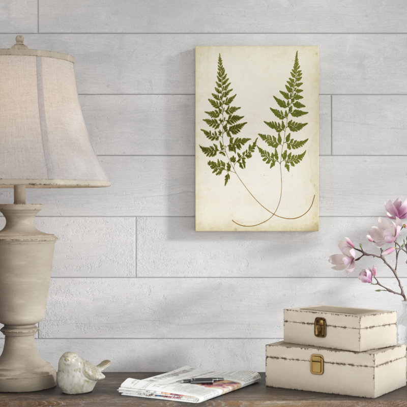 Fern Portfolio I by Francis G. Heath - Painting Print, 46cm H x 30cm W, Wrapped Canvas