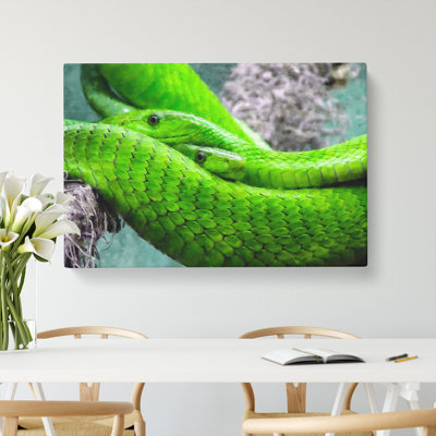 Green Mamba Snakes - Wrapped Canvas Print