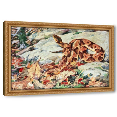 Copperhead And Coral Snake (1929-1932)