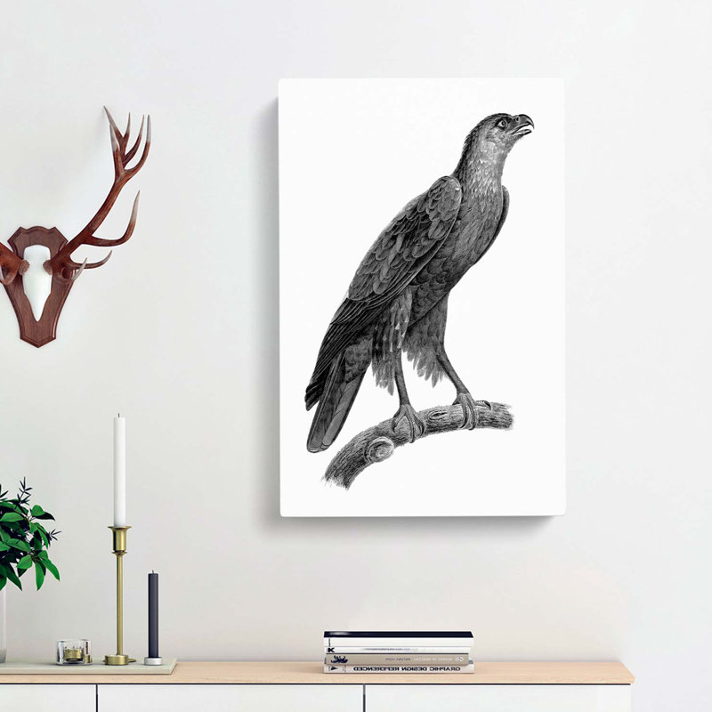 Greater Spotted Eagle - Wrapped Canvas, 50cm H x 35cm W x 3cm D